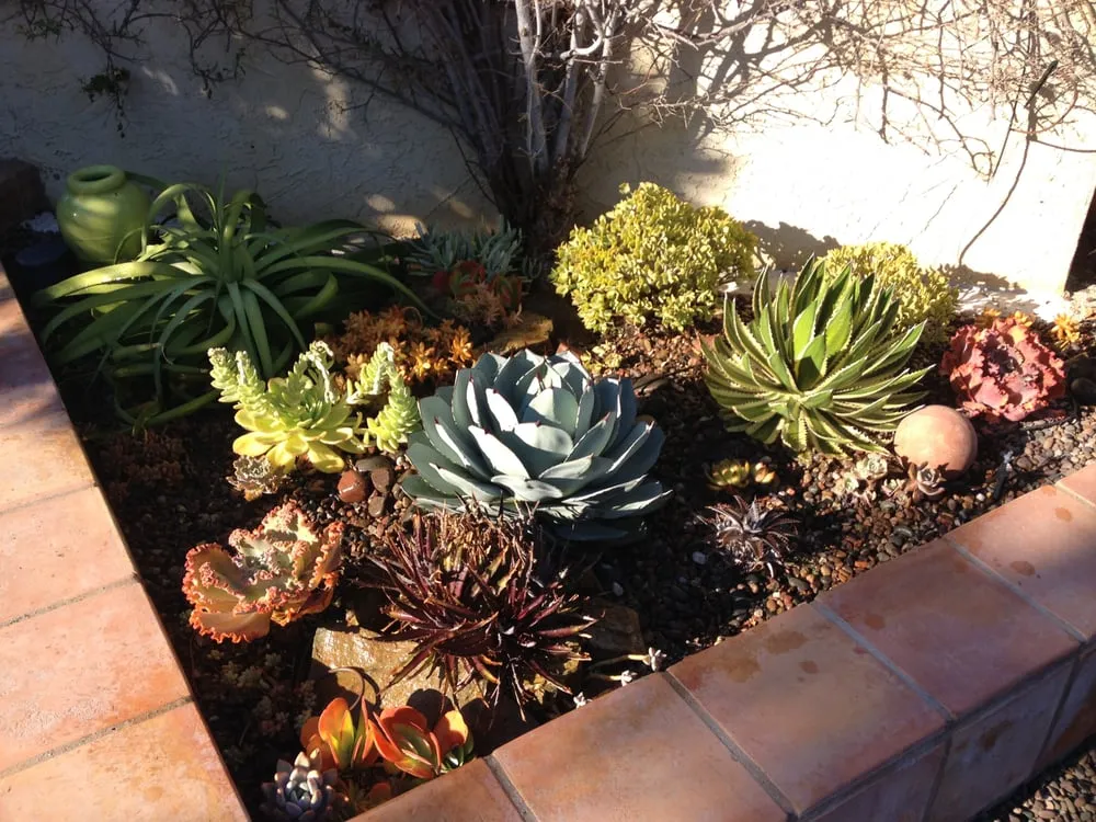 Expert landscape design in Vista, CA by CW Design & Landscape