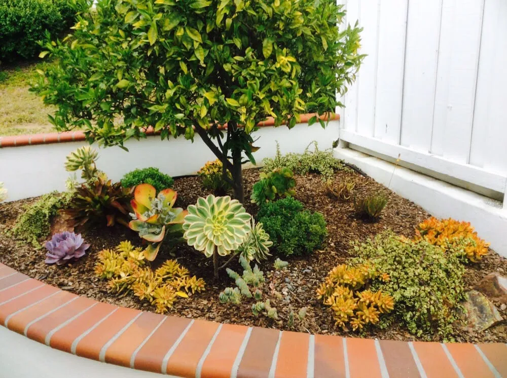 Top-rated outdoor landscaping experts serving Vista, CA - CW Design & Landscape