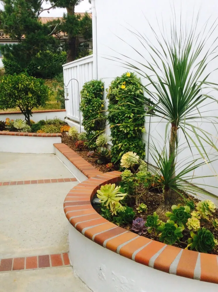 Trusted yard cleanup service in Vista, CA - CW Design & Landscape