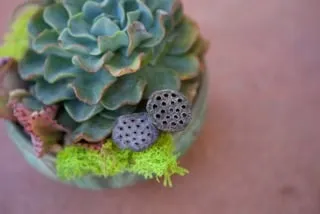 Affordable landscaping services with custom design across Vista, CA - CW Design & Landscape