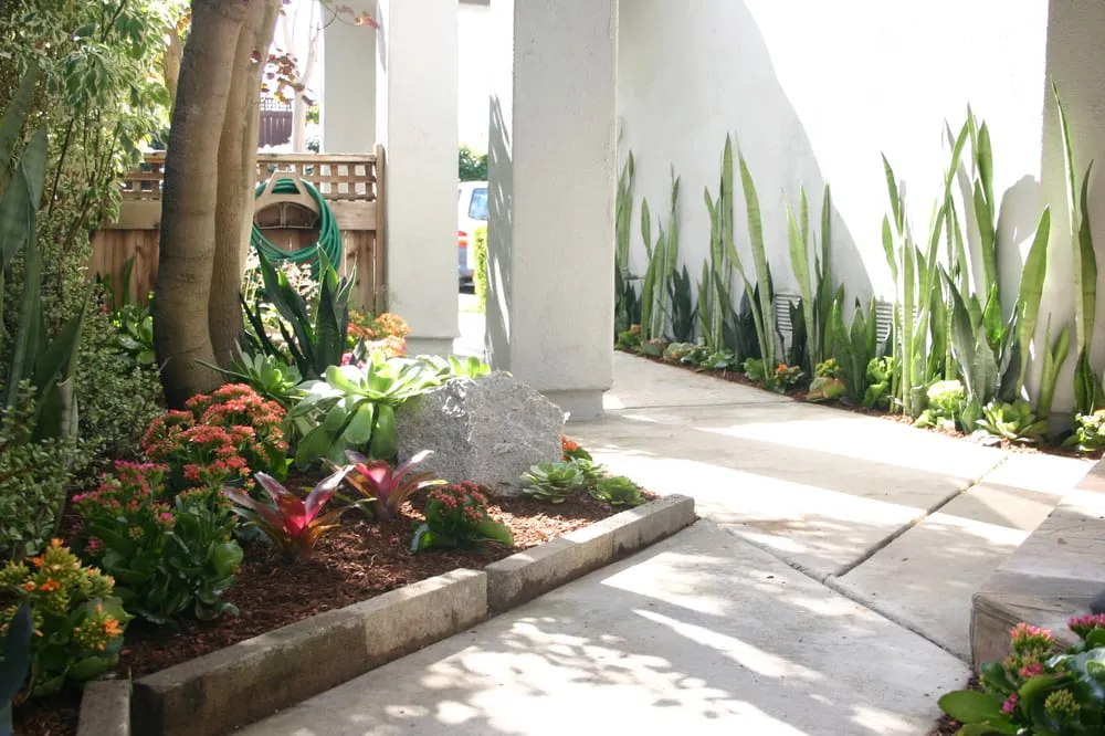 Top-rated garden landscaping in Vista, CA by CW Design & Landscape