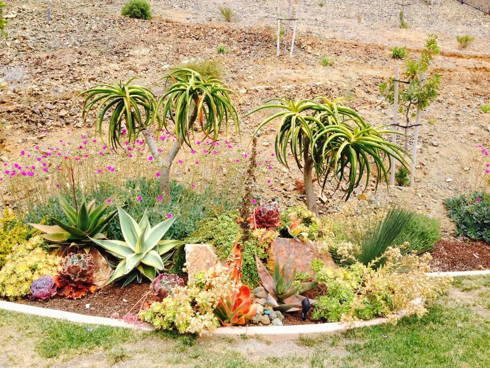 Custom residential landscaping experts serving Vista, CA - CW Design & Landscape