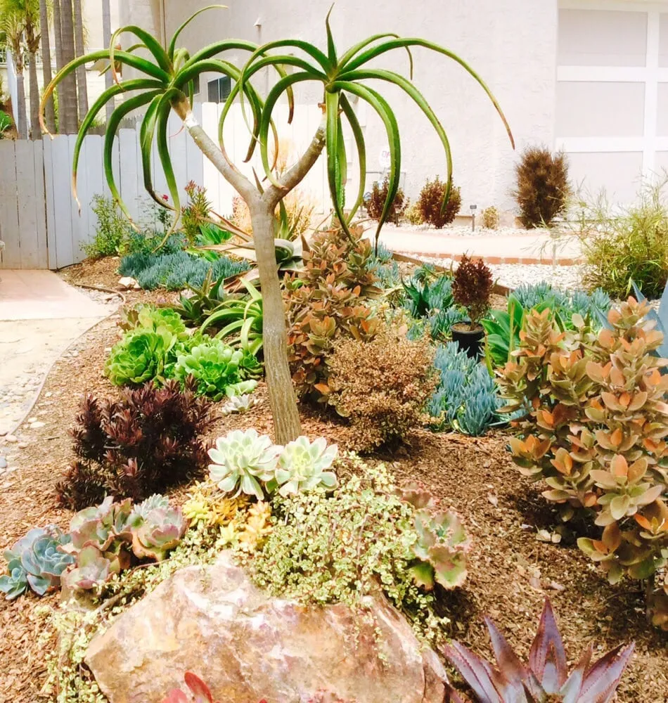 Expert landscape installation in Vista, CA - CW Design & Landscape