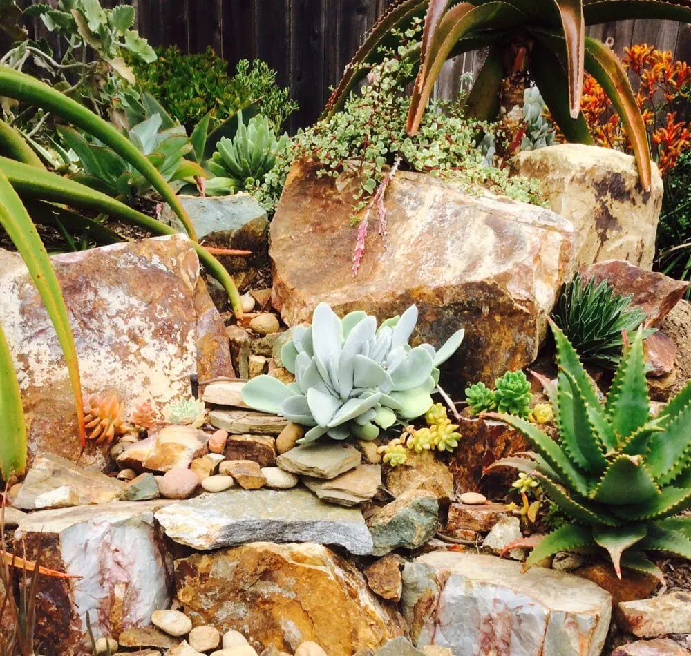 Local lawn care service in Vista, CA by CW Design & Landscape