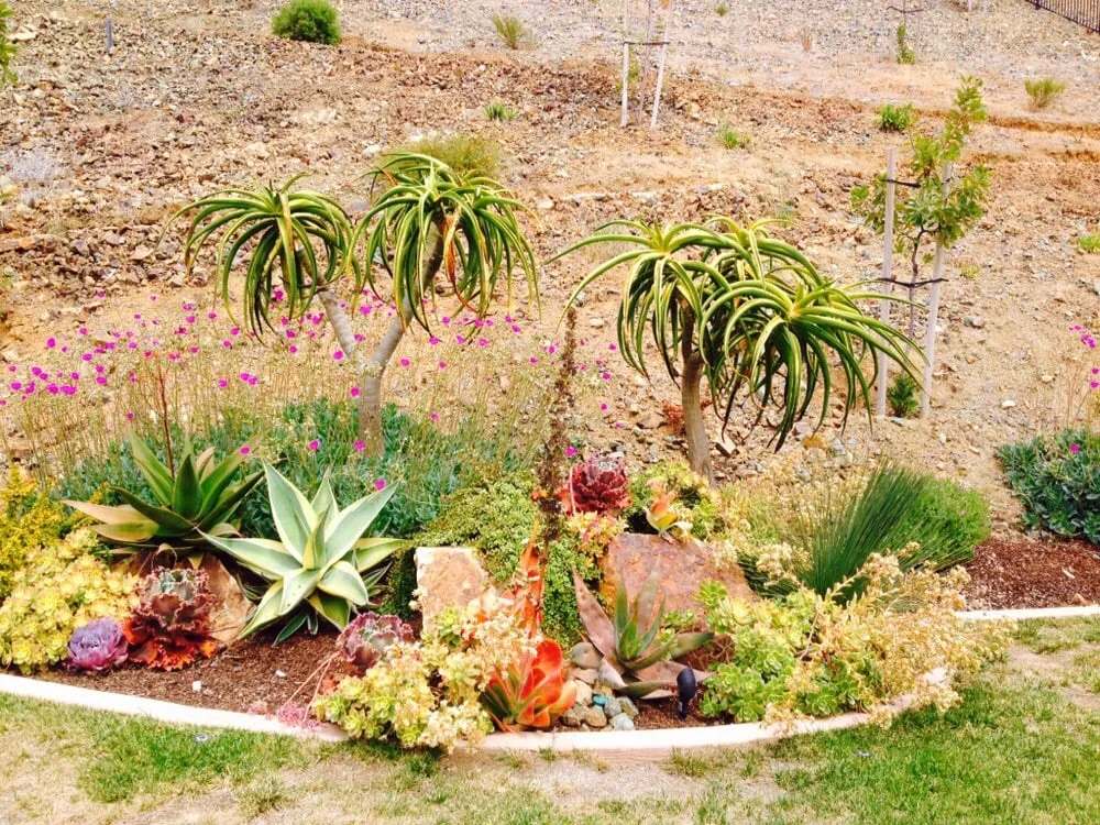 Top-rated outdoor landscaping in Vista, CA by CW Design & Landscape