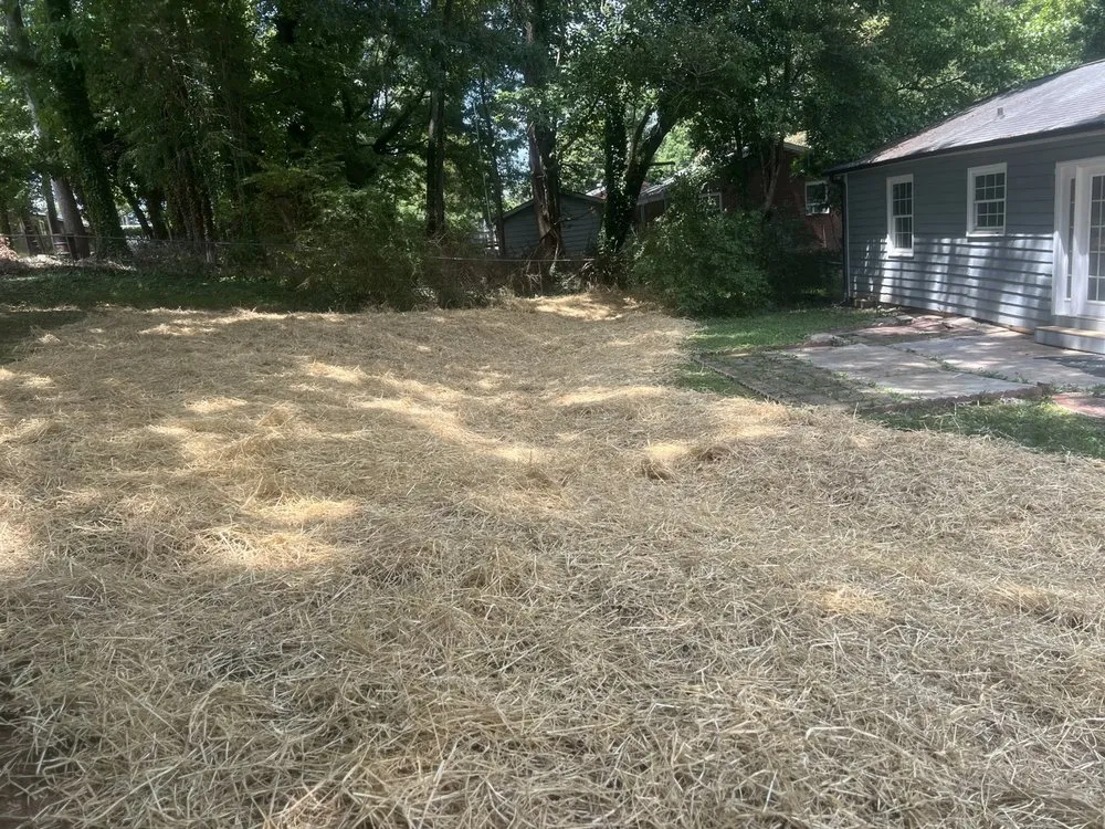 Affordable residential landscaping in York, SC - CW Grading