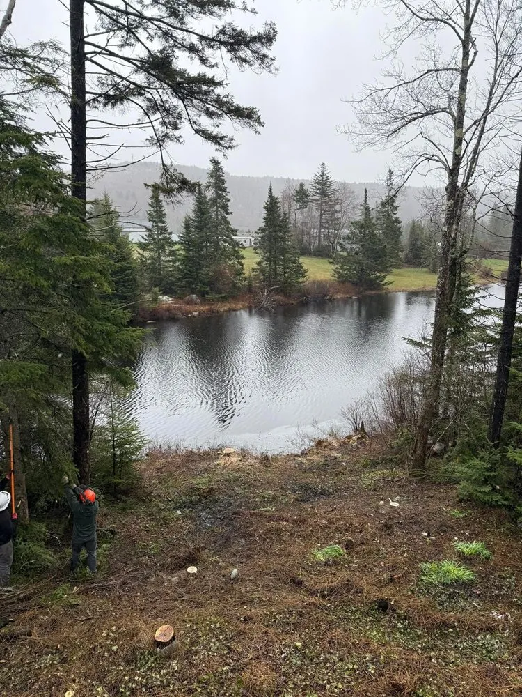 Professional yard cleanup service in Shaftsbury, VT by C&W Land Resolutions