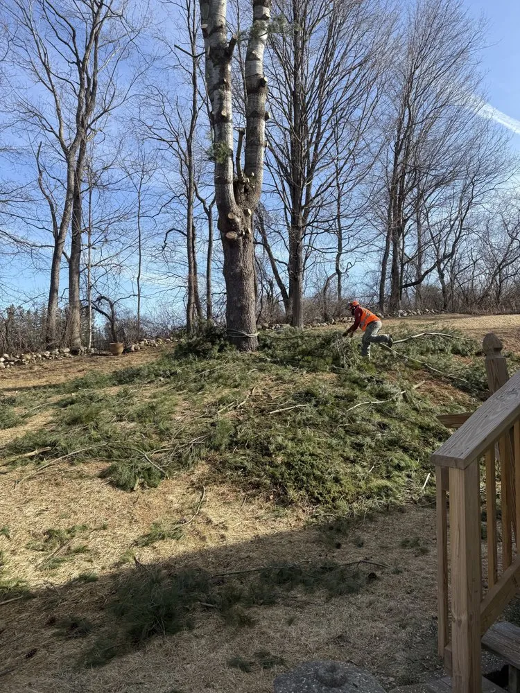 Trusted outdoor landscaping with custom design in Shaftsbury, VT by C&W Land Resolutions