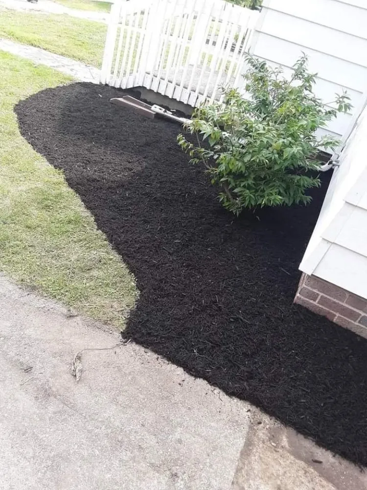 Expert residential landscaping in Warren, MI by C&W landscape & Snow Removal