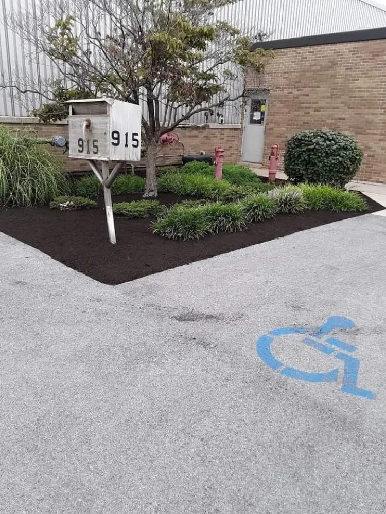 Local yard cleanup service for beautiful yards across Warren, MI - C&W landscape & Snow Removal