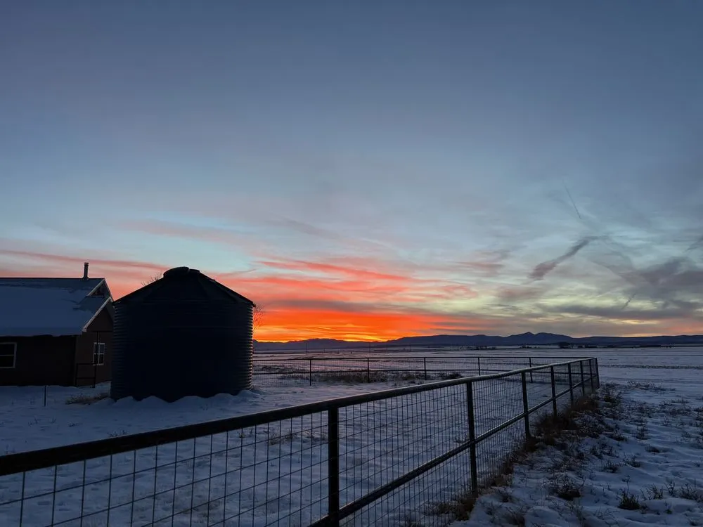 Affordable garden landscaping for beautiful yards in Edgewood, NM by CW Landscape Services