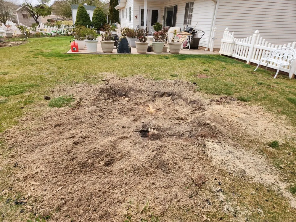 Top-rated landscape installation in Snowflake, AZ by CW Landscaping