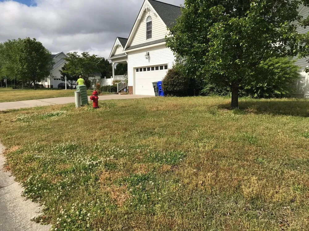 Reliable landscaping services experts serving Washington, NC - C&W landscaping