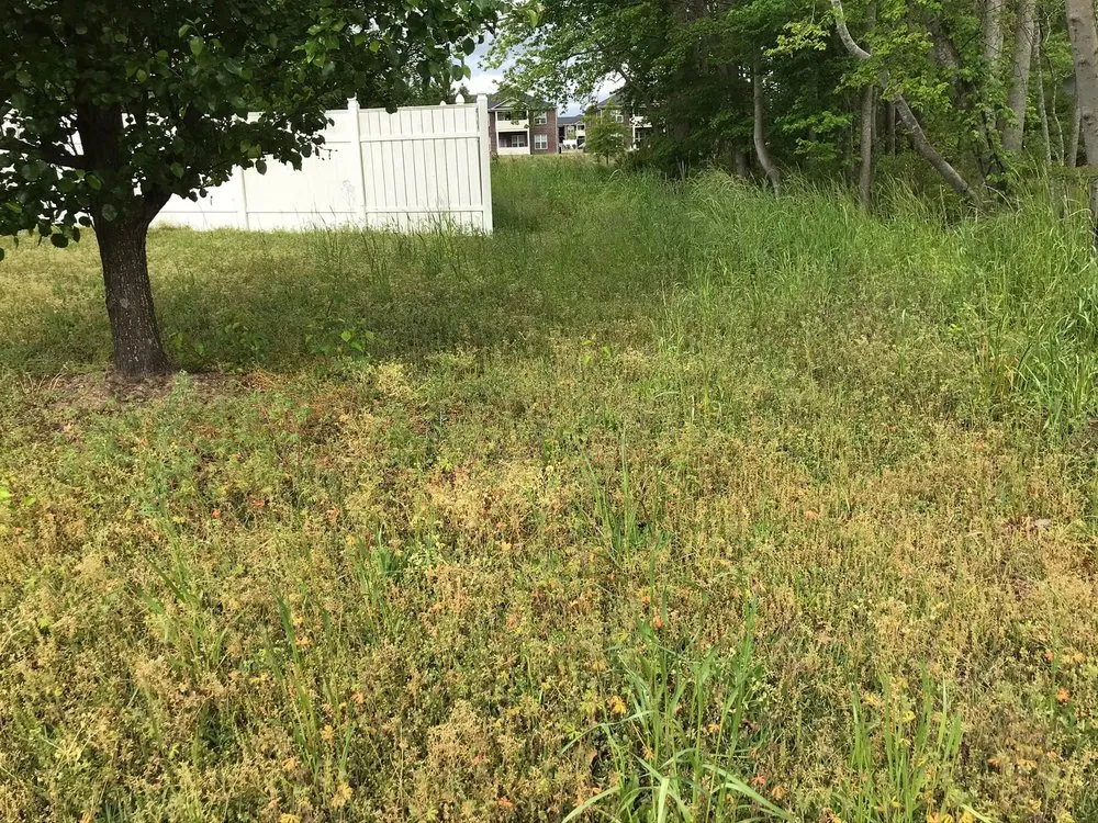 Top-rated landscape design in Washington, NC by C&W landscaping