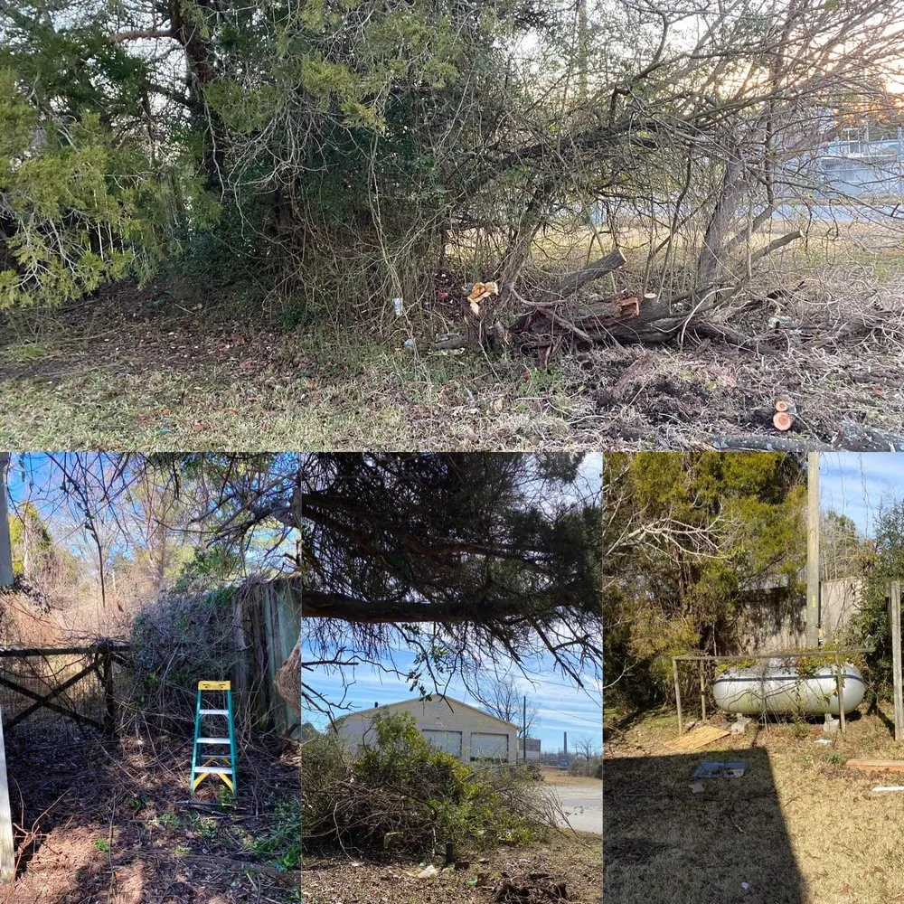 Expert landscape design experts serving Washington, NC - C&W landscaping