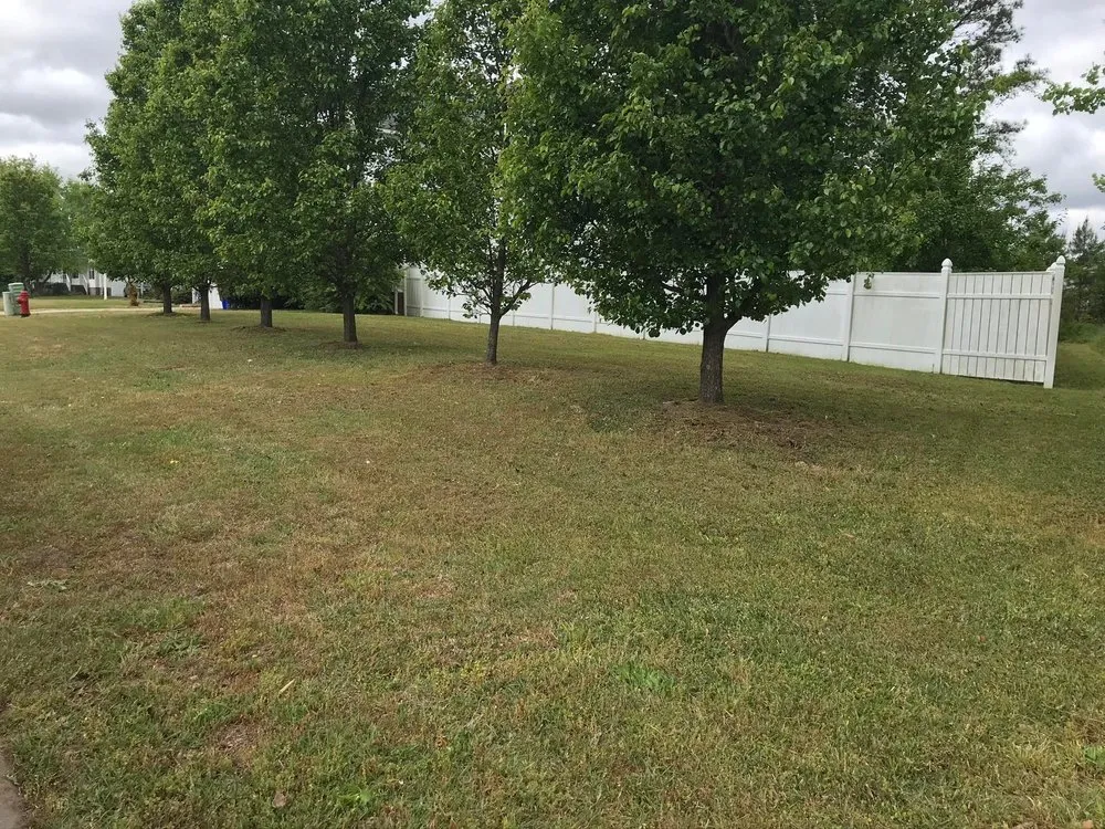 Affordable landscape design in Washington, NC by C&W landscaping