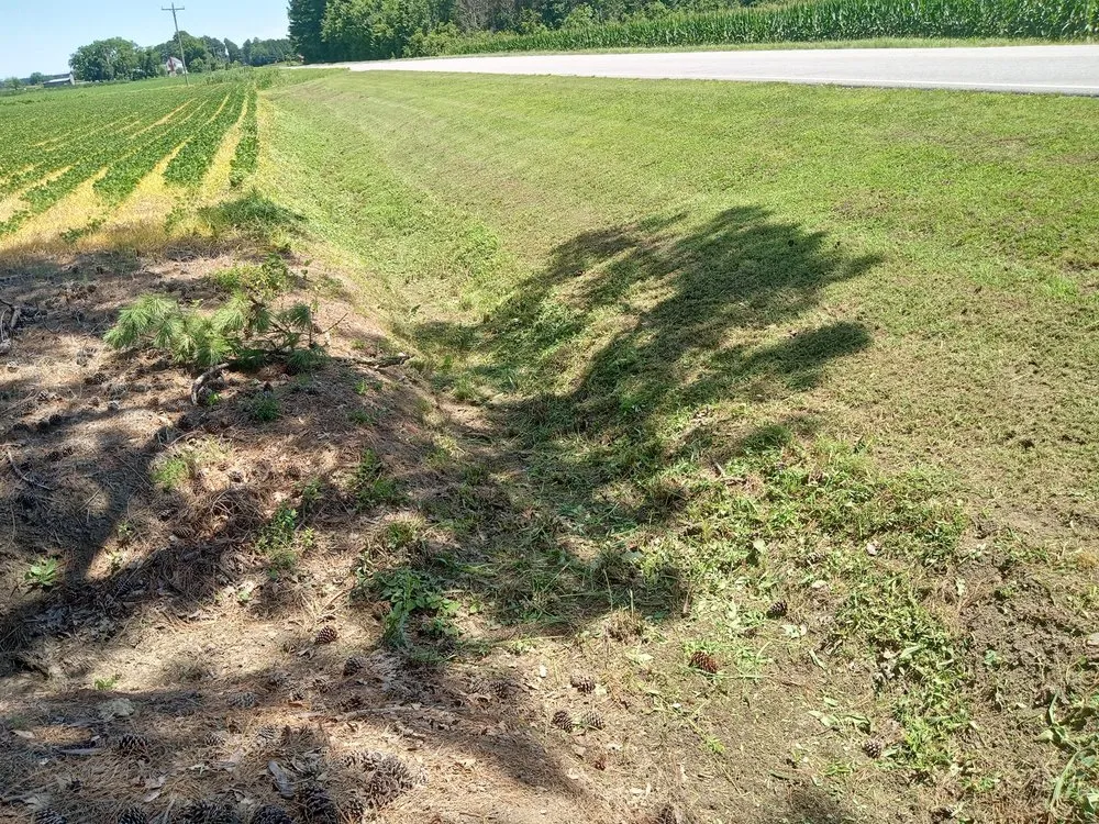 Custom garden landscaping in Washington, NC by C&W landscaping