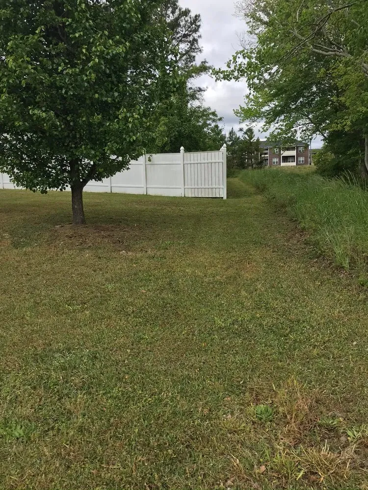 Top-rated yard cleanup service for residential properties across Washington, NC - C&W landscaping