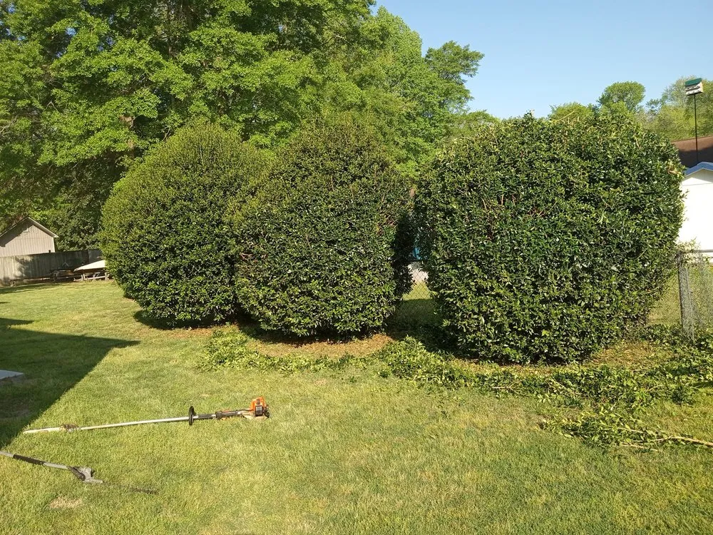 Affordable outdoor landscaping near you across Washington, NC - C&W landscaping