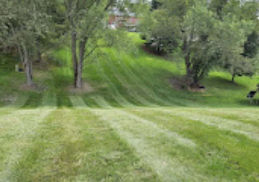 Professional landscape installation in East York, PA by CW Lawn and Landscape