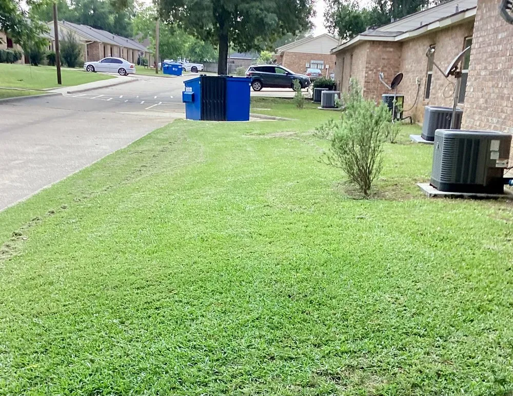 Professional yard cleanup service near you in Frankston, TX by CW Lawn and Property Preservation