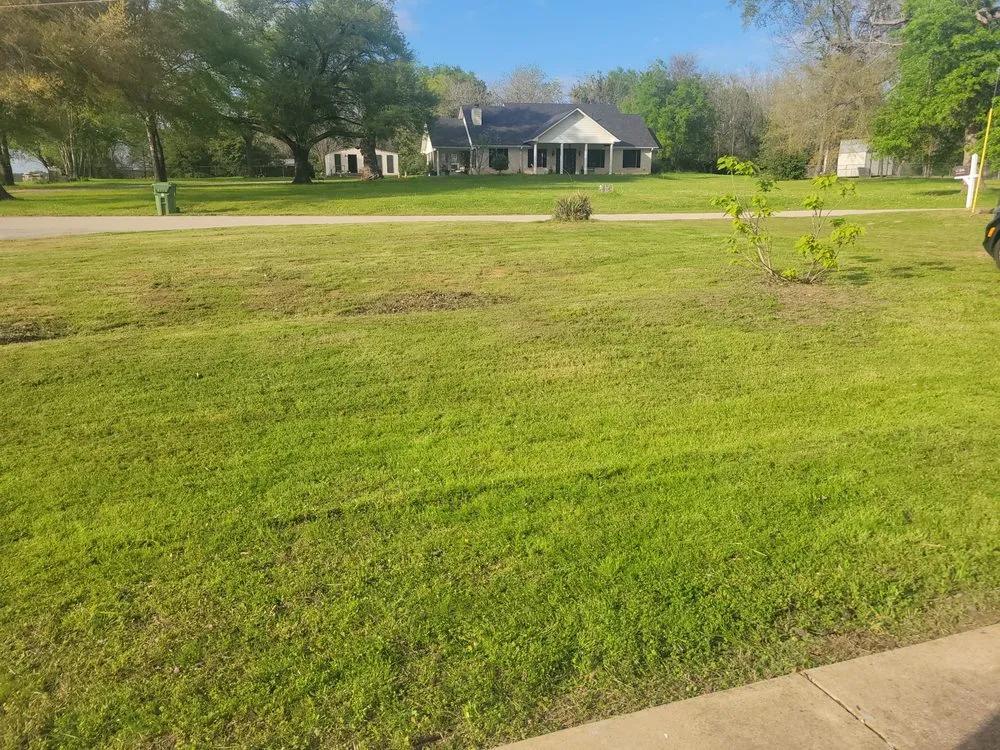 Trusted yard maintenance in Frankston, TX - CW Lawn and Property Preservation