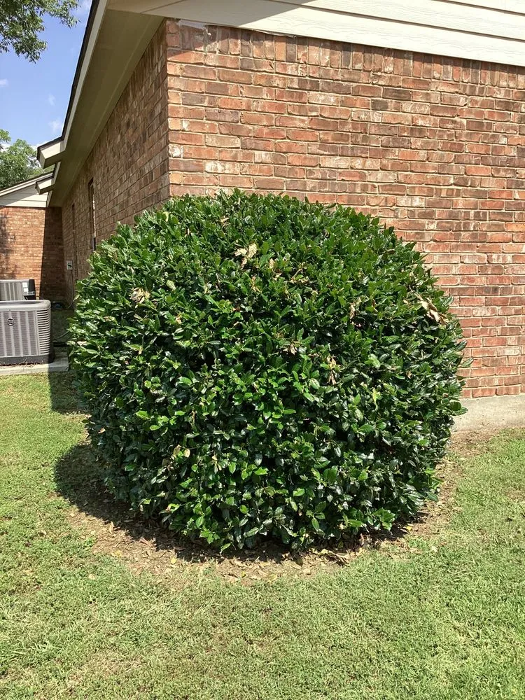 Local landscaping services in Frankston, TX by CW Lawn and Property Preservation
