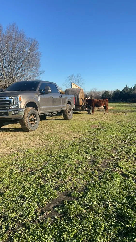 Trusted landscape design for year-round maintenance across Rockwall, TX - C&W Lawn Care