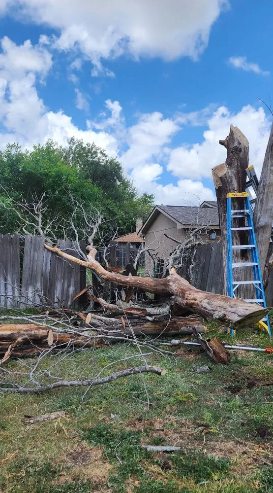 Custom yard maintenance for outdoor upgrades across Killeen, TX - CW Pest and Lawn Service