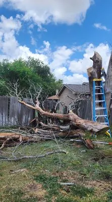 CW Pest and Lawn Service Logo