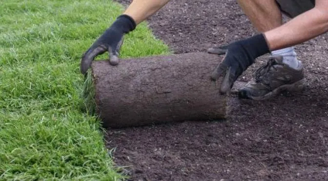 Top-rated lawn care service in Dearborn, MI by CW Property Maintenance