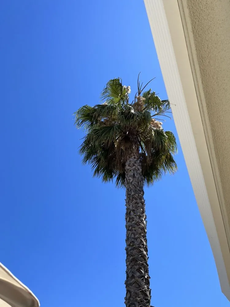 Affordable lawn mowing service in Martinez, CA - C&W Tree And Landscape