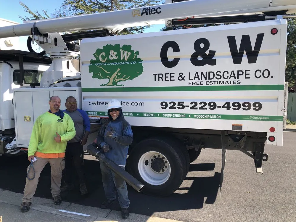 Top-rated lawn mowing service experts serving Martinez, CA - C&W Tree And Landscape