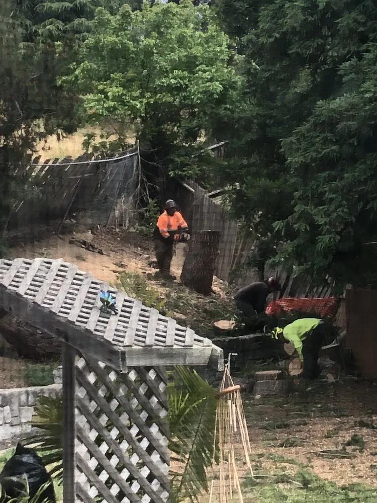 Custom landscape design experts serving Martinez, CA - C&W Tree And Landscape