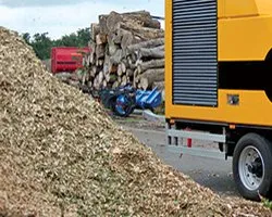 Top-rated landscaping services in Martinez, CA by C&W Tree And Landscape