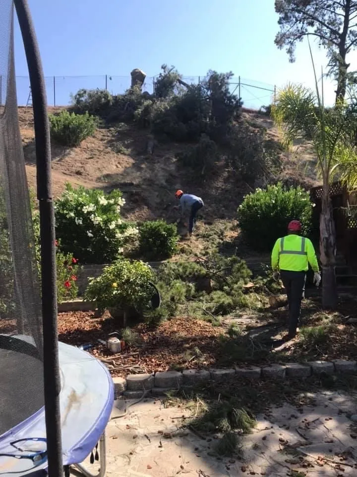 Professional landscaping services for homes across Martinez, CA - C&W Tree And Landscape