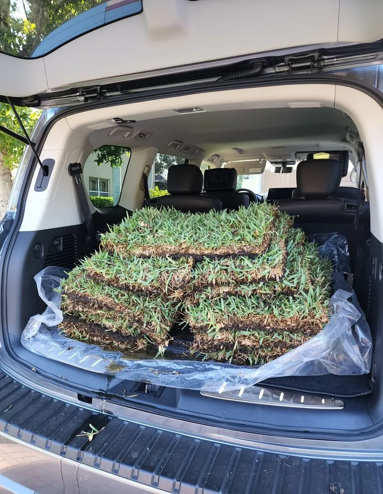 Local landscaping services with custom design in Vero Beach, FL by CW Willis Landscaping & Garden Center