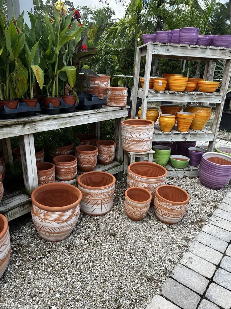 Reliable yard cleanup service in Vero Beach, FL - CW Willis Landscaping & Garden Center