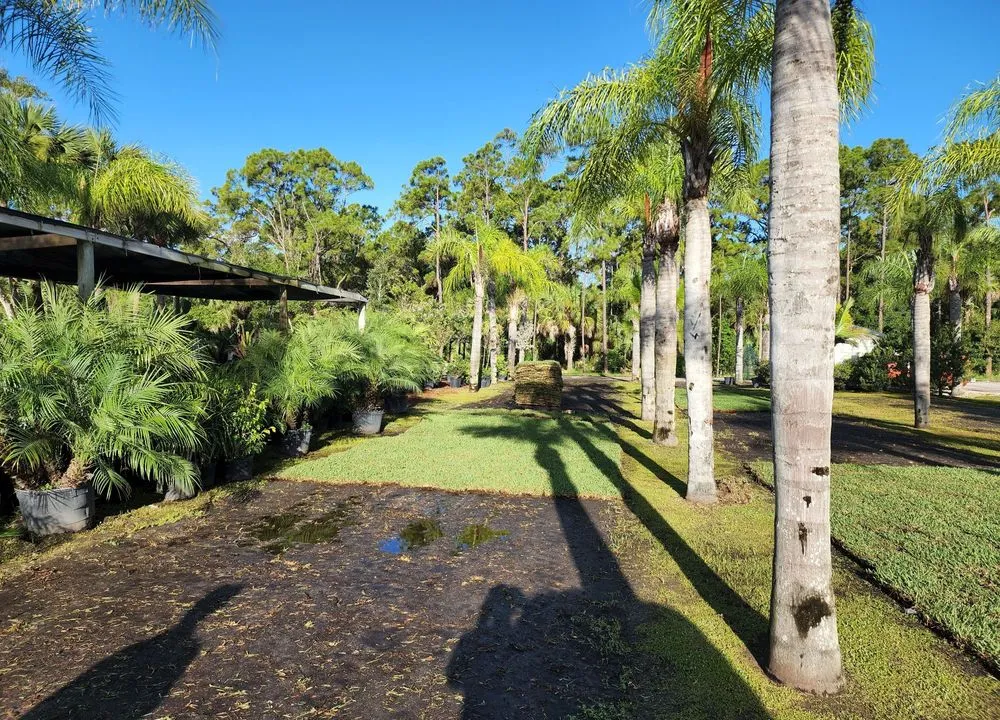 Trusted landscaping services for year-round maintenance in Vero Beach, FL by CW Willis Landscaping & Garden Center