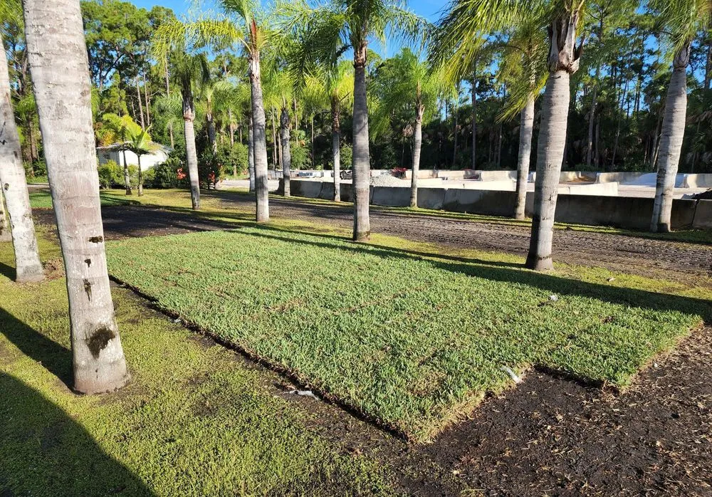 Professional lawn mowing service in Vero Beach, FL by CW Willis Landscaping & Garden Center