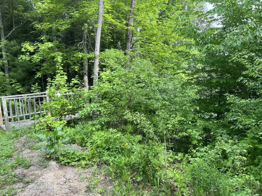 Custom landscape installation in New Vineyard, ME - CWB lawn care & landscaping