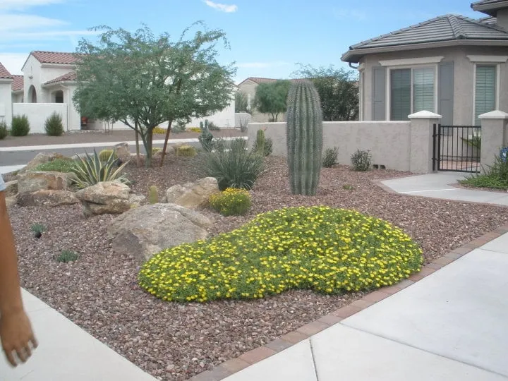 Affordable landscape design for outdoor upgrades in Surprise, AZ by CWC Landscaping