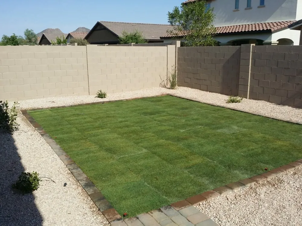 Top-rated landscape installation for year-round maintenance across Surprise, AZ - CWC Landscaping