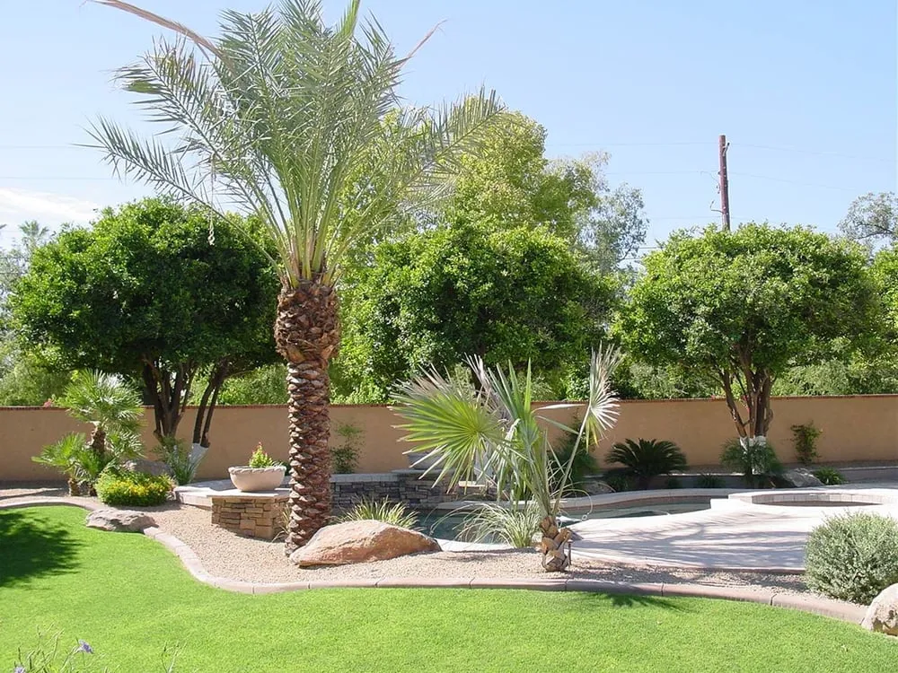 Trusted lawn care service in Surprise, AZ by CWC Landscaping
