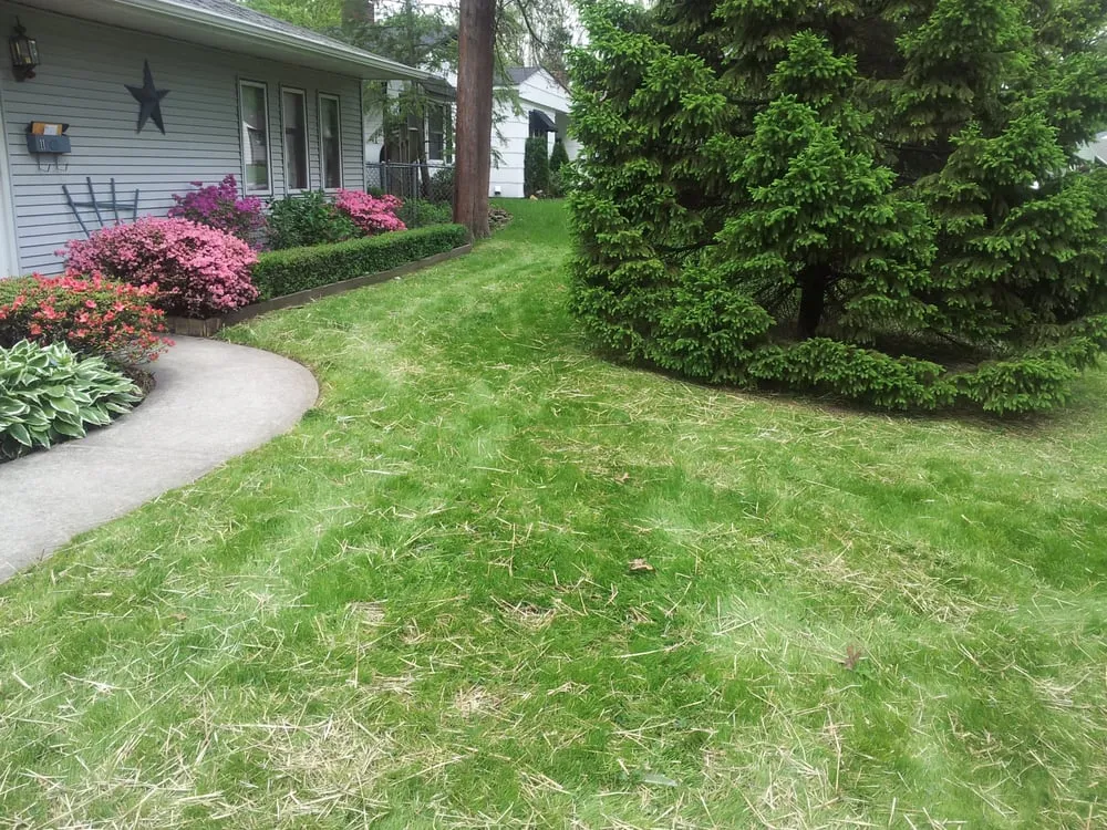 Local outdoor landscaping experts serving Keansburg, NJ - CWG Complete Grounds Maintenance