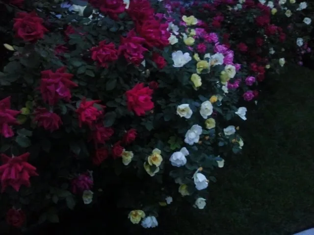 Expert lawn care service in Keansburg, NJ - CWG Complete Grounds Maintenance