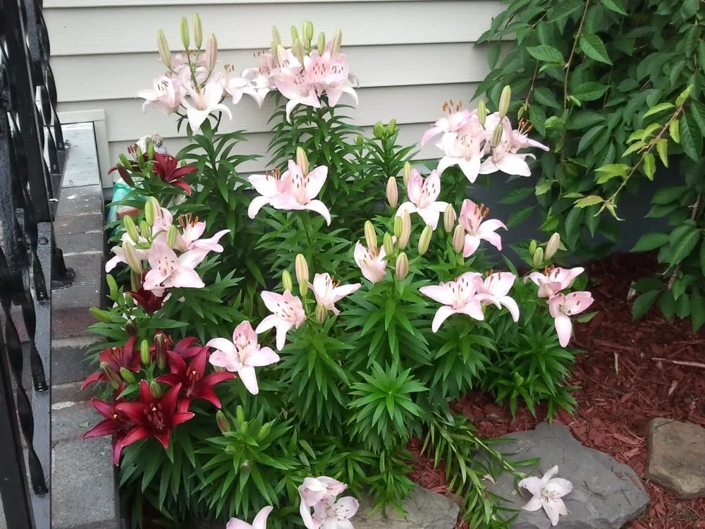 Local outdoor landscaping for residential properties across Keansburg, NJ - CWG Complete Grounds Maintenance