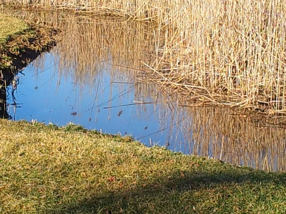 Affordable outdoor landscaping in Keansburg, NJ by CWG Complete Grounds Maintenance