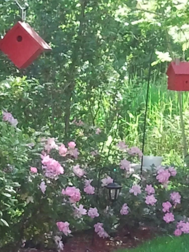 Affordable lawn mowing service in Keansburg, NJ by CWG Complete Grounds Maintenance