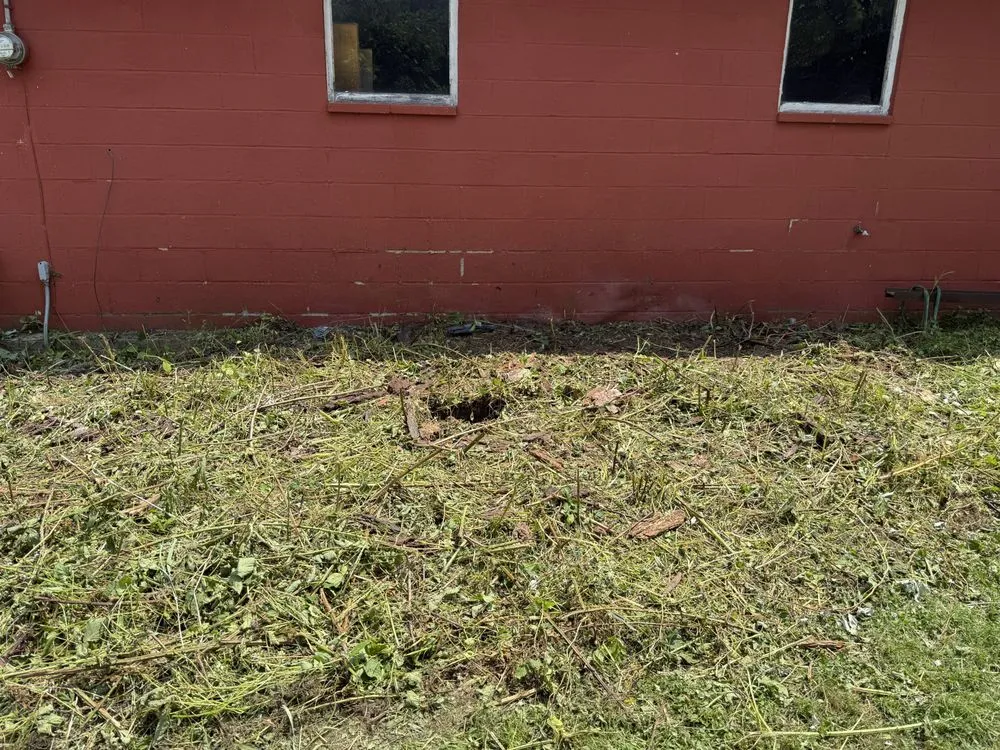 Professional yard maintenance in Rome, OH - CWS Land Services